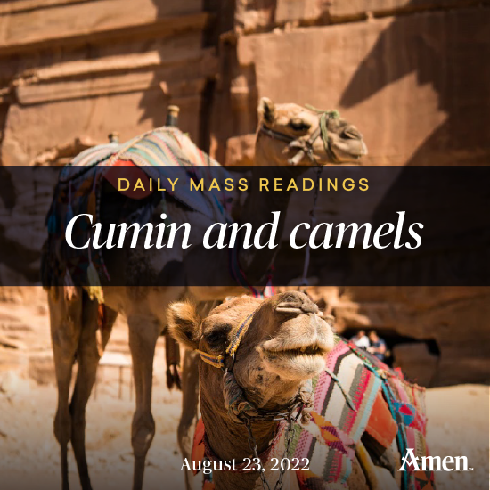 Cumin and Camels August 23 Amen